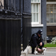 Image for article titled A Question About Brexit: Does 10 Downing Street Get to Keep Larry the Cat?